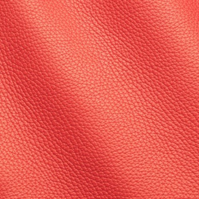 Aligo Group фото