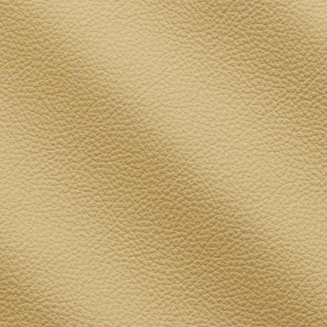 Aligo Group фото