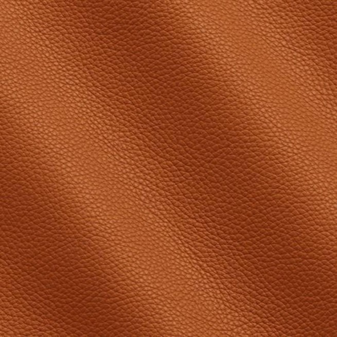 Aligo Group фото