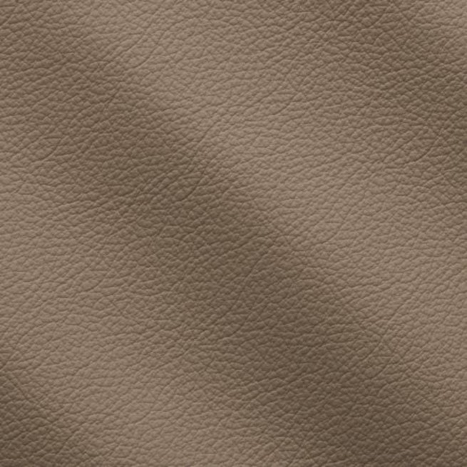 Aligo Group фото