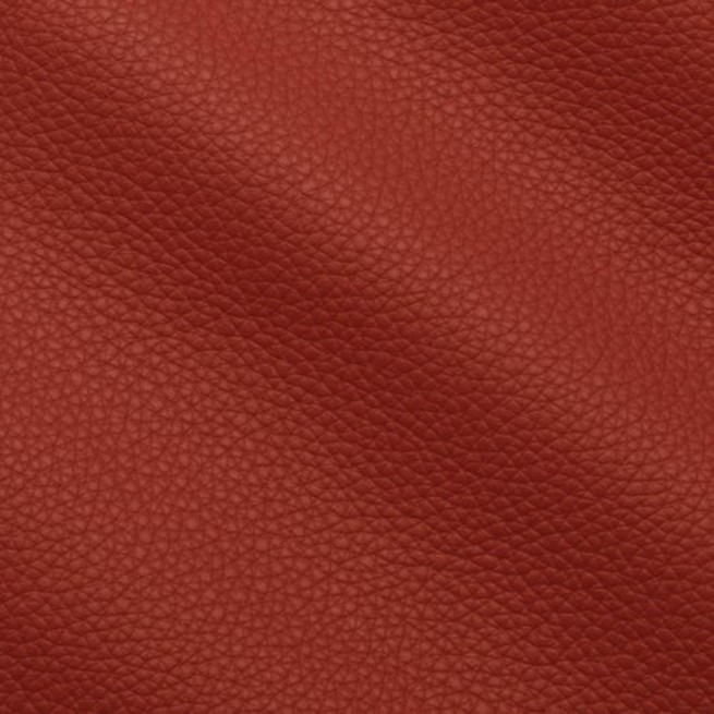 Aligo Group фото