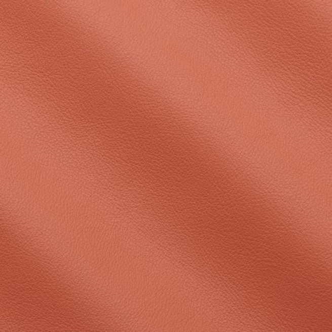 Aligo Group фото