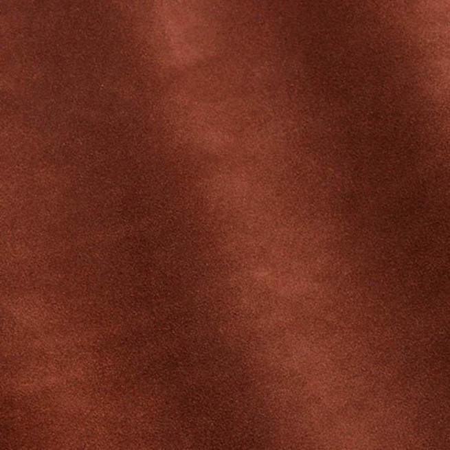 Aligo Group фото