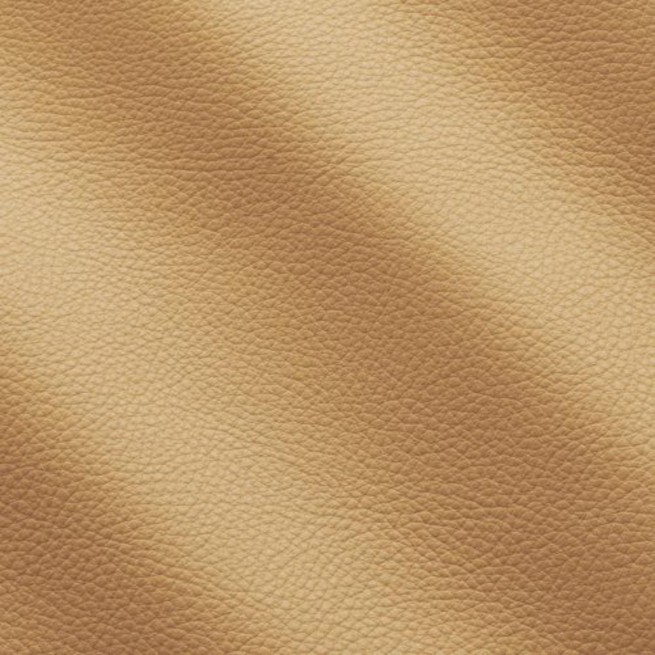 Aligo Group фото