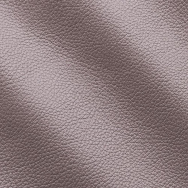 Aligo Group фото