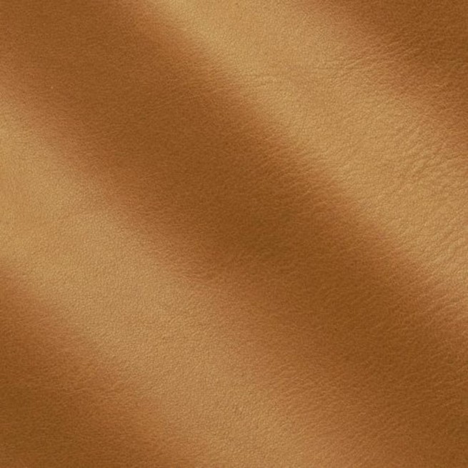 Aligo Group фото