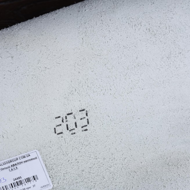 Aligo Group фото