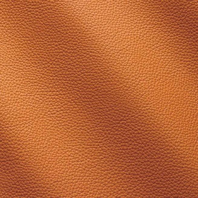 Aligo Group фото