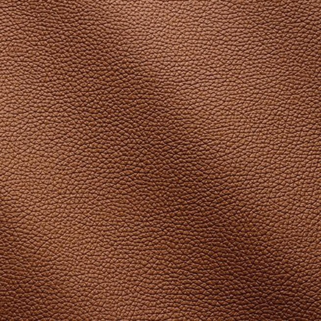 Aligo Group фото