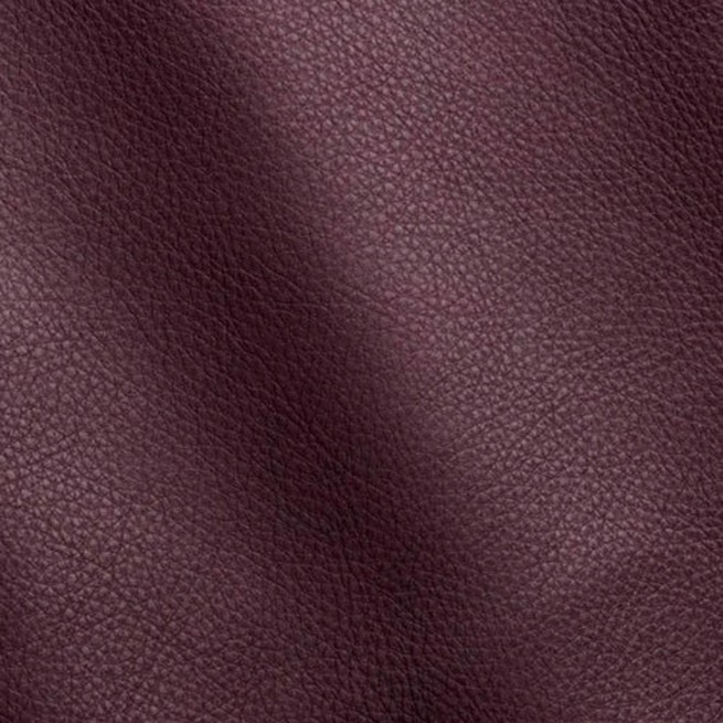 Aligo Group фото