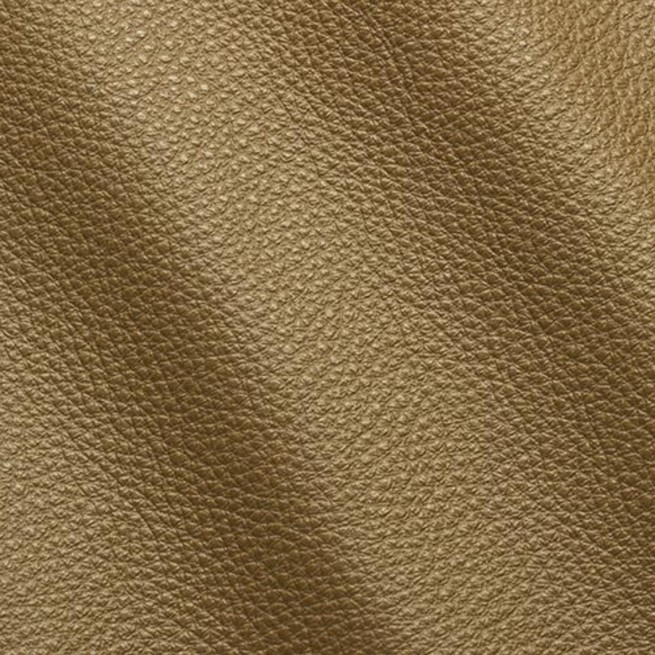 Aligo Group фото