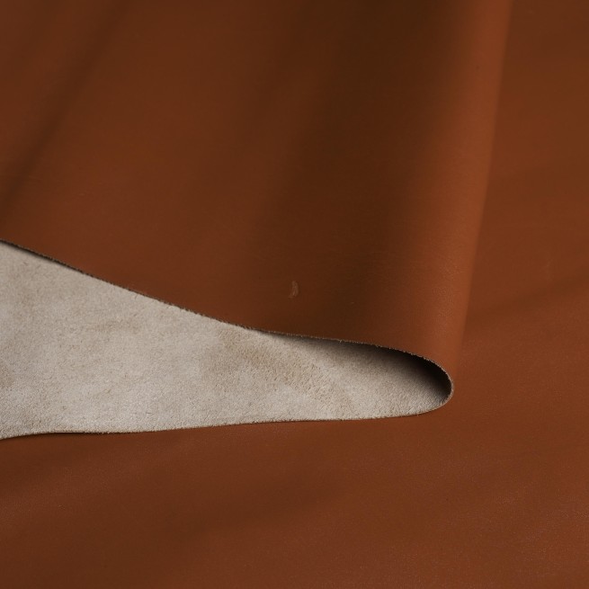 Aligo Group фото