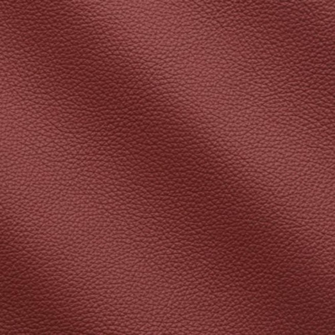 Aligo Group фото