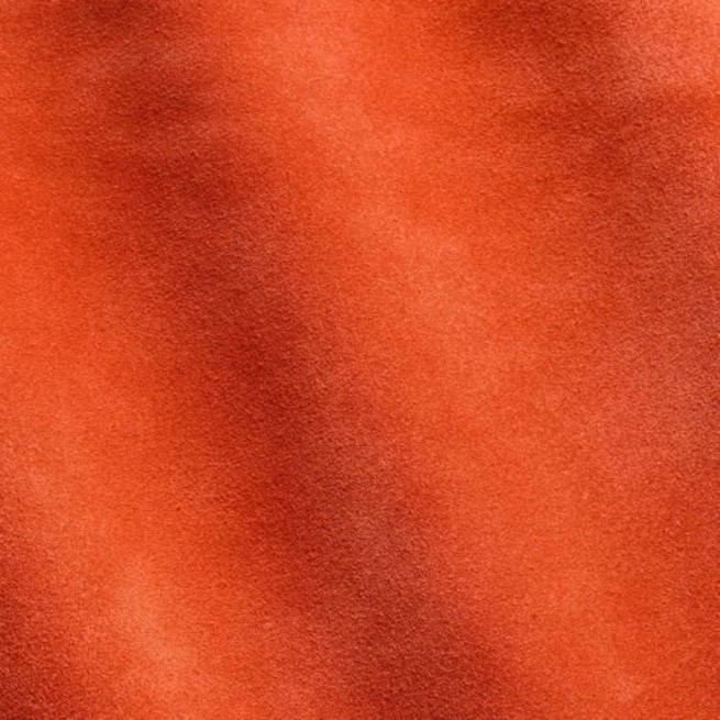 Aligo Group фото