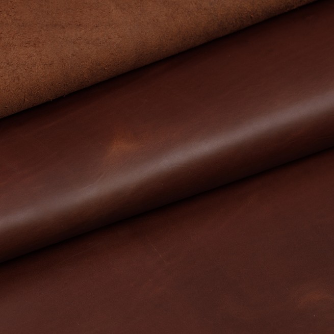 Aligo Group фото