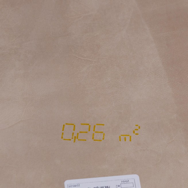 Aligo Group фото