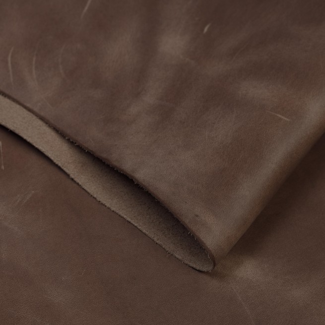 Aligo Group фото