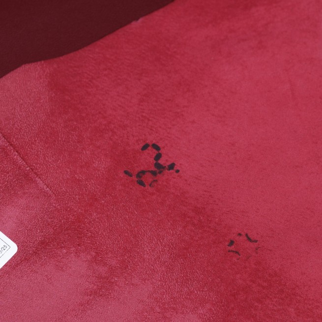 Aligo Group фото