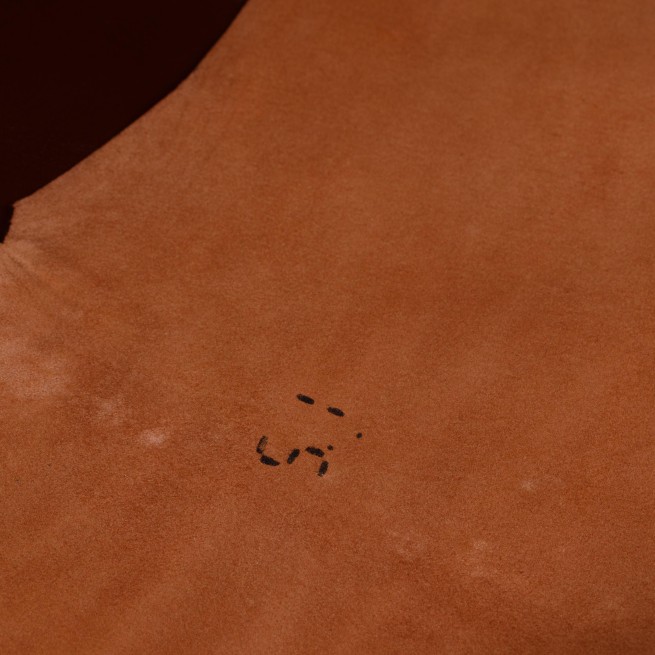 Aligo Group фото