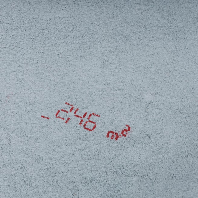 Aligo Group фото