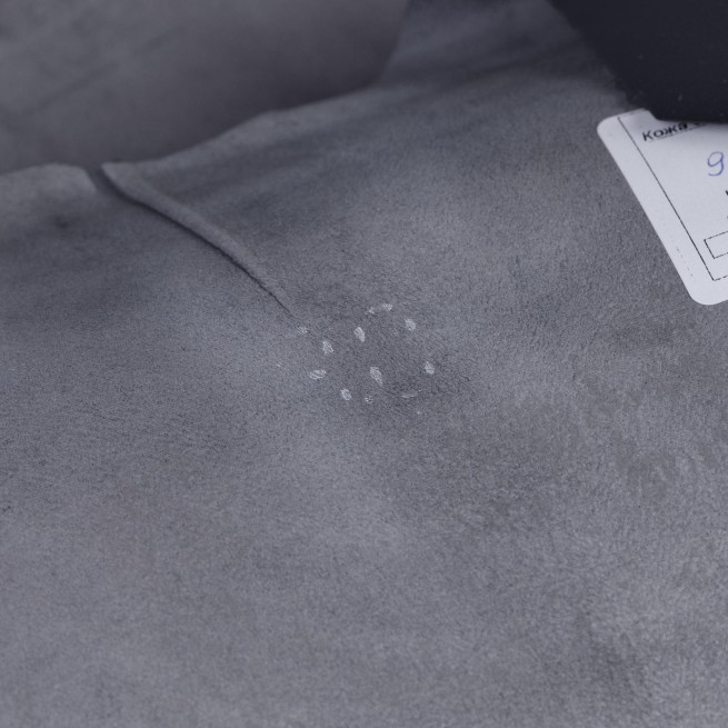 Aligo Group фото