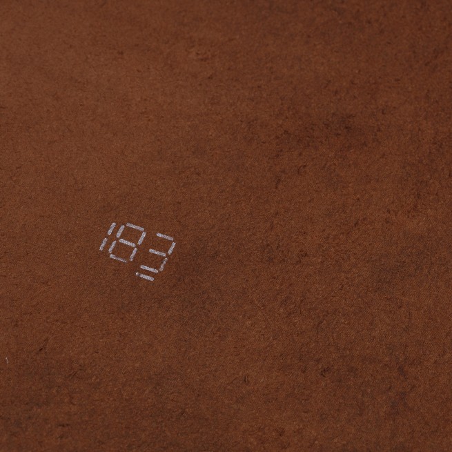 Aligo Group фото