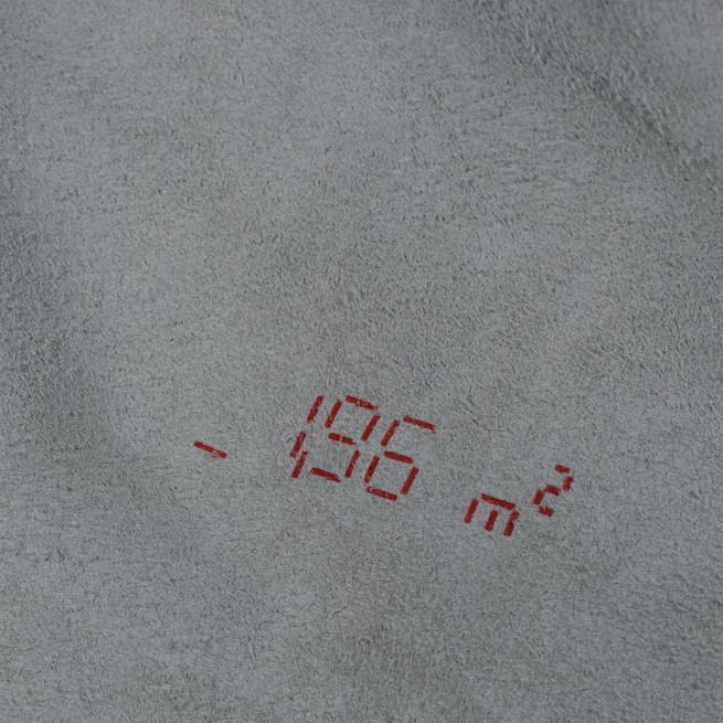 Aligo Group фото