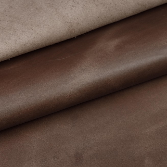 Aligo Group фото