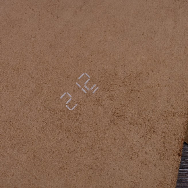 Aligo Group фото