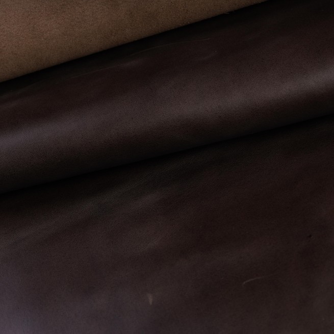 Aligo Group фото