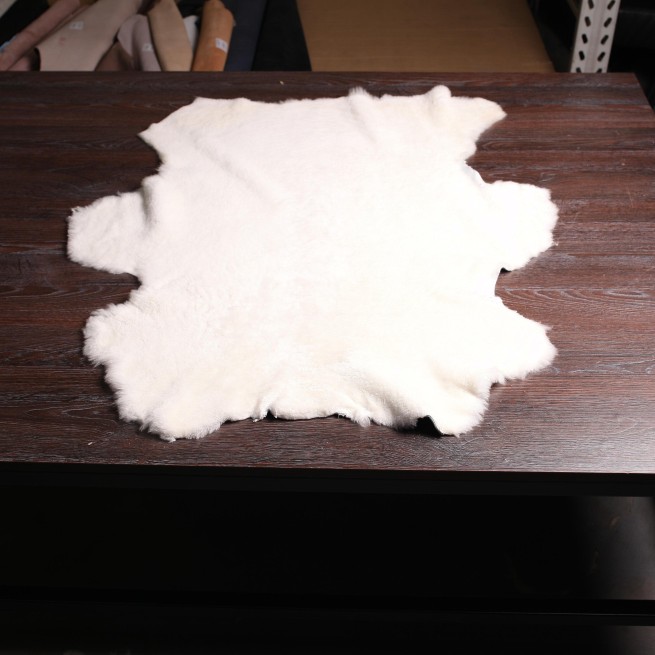 Aligo Group фото