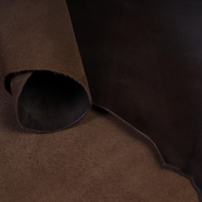 Aligo Group фото