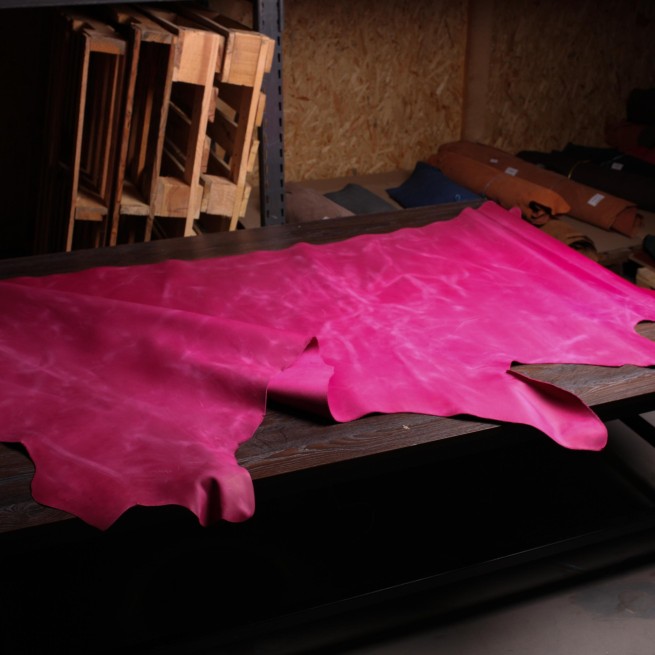 Aligo Group фото