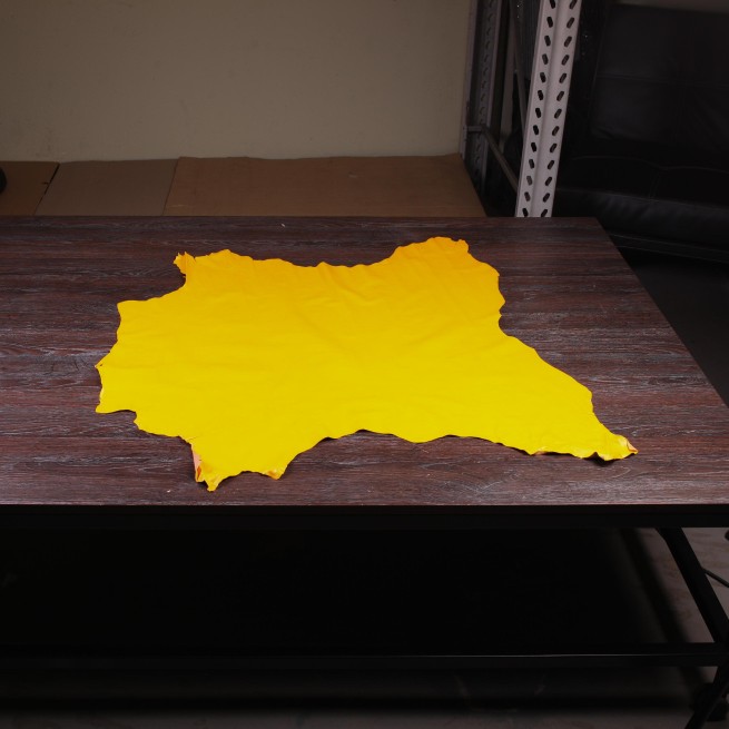 Aligo Group фото