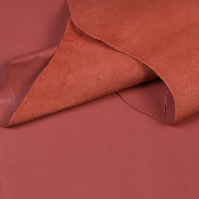 Aligo Group фото