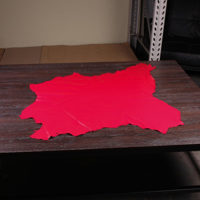 Aligo Group фото