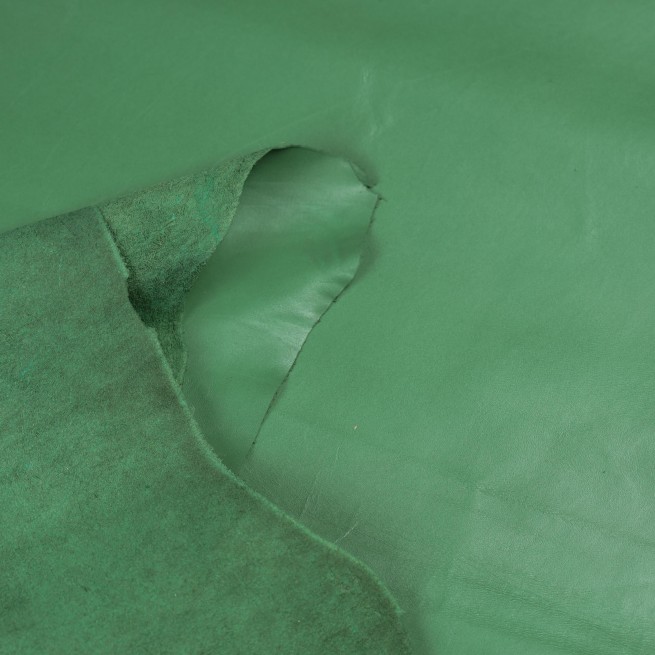 Aligo Group фото