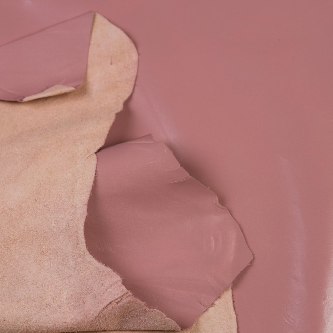 Aligo Group фото