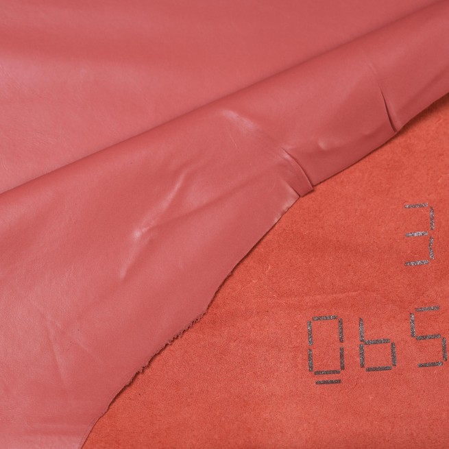 Aligo Group фото