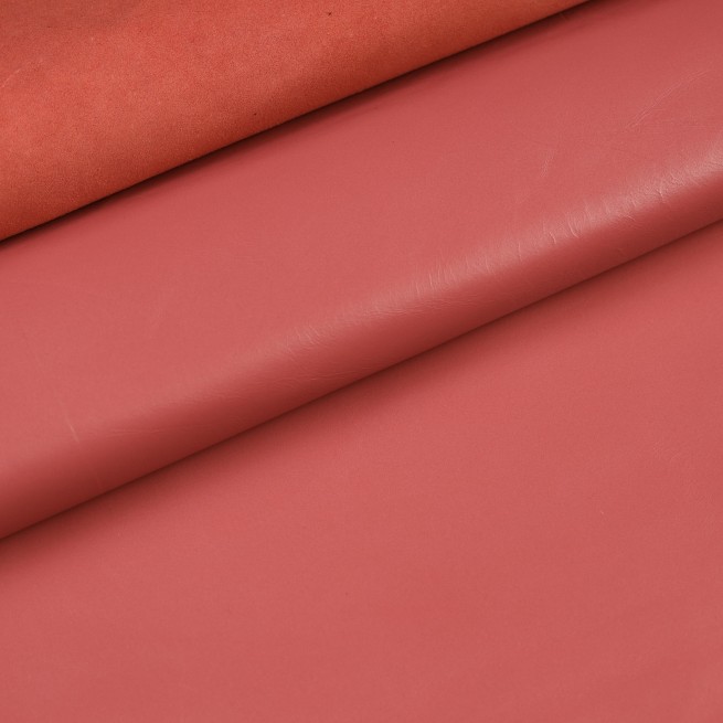 Aligo Group фото