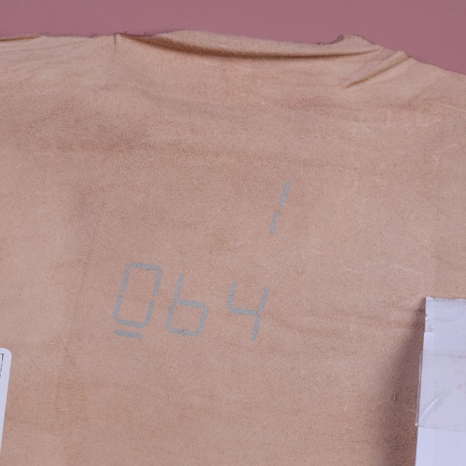 Aligo Group фото