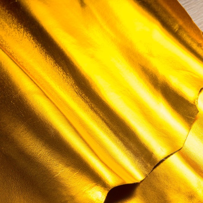 Aligo Group фото