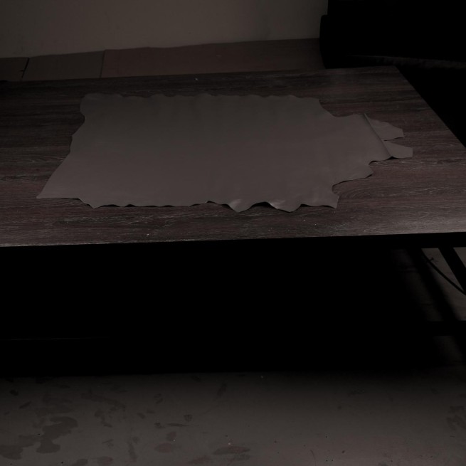 Aligo Group фото