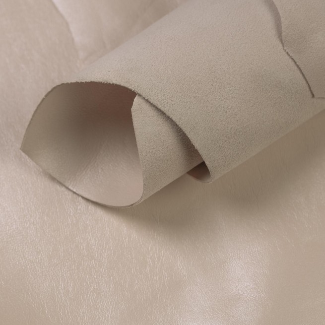 Aligo Group фото