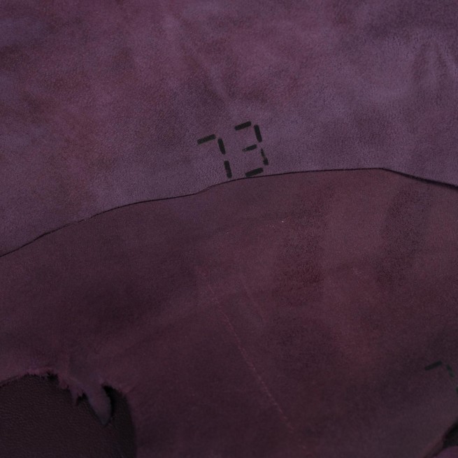 Aligo Group фото