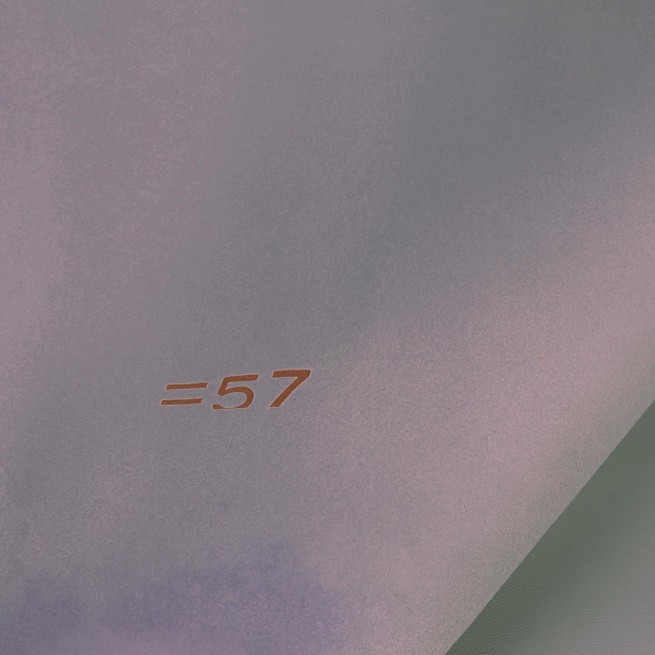 Aligo Group фото