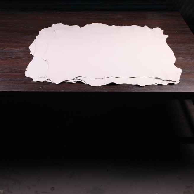 Aligo Group фото