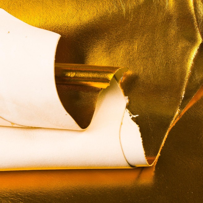 Aligo Group фото