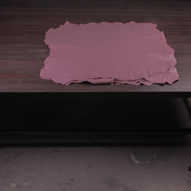 Aligo Group фото