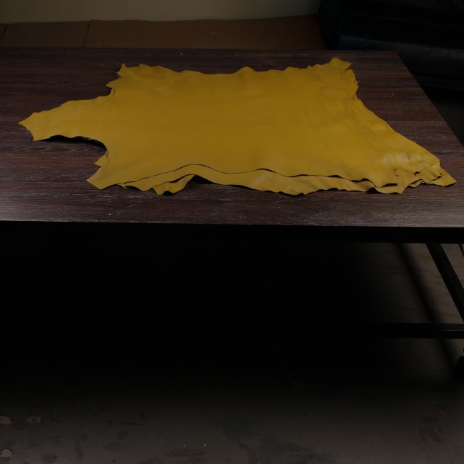 Aligo Group фото